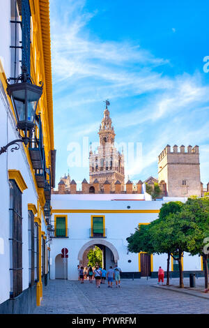 Torre Giralda dal Patio de Banderas nella Royal Alcazar, Siviglia, Spagna Foto Stock