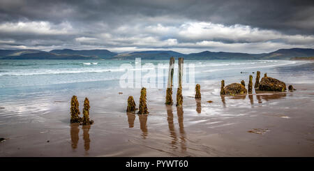 Viste intorno all'Anello di Kerry, Rossbeigh, Irlanda, Europa Foto Stock