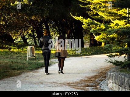 Una giovane coppia di passeggiate nel parco con una luce calda negli alberi. Vista posteriore, portamonete, giacca di pelle. Foto Stock