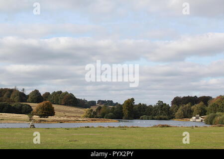 Vista del lago a Petworth House con anatra Foto Stock