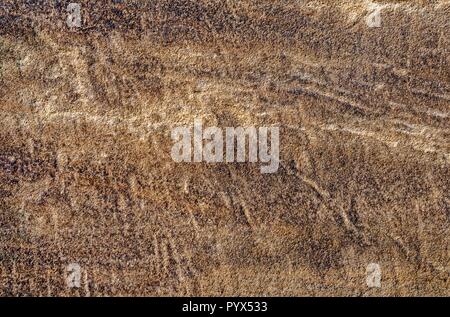 Parte del vecchio muro di cemento. Ben visibile la texture. Foto Stock