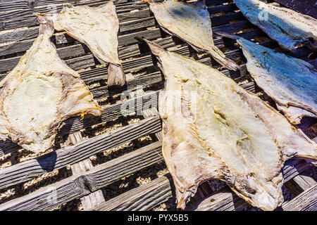 Il pesce si sfalda Mystic Seaport   Mystic, Connecticut, Stati Uniti d'America Foto Stock