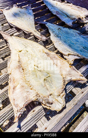 Il pesce si sfalda Mystic Seaport   Mystic, Connecticut, Stati Uniti d'America Foto Stock