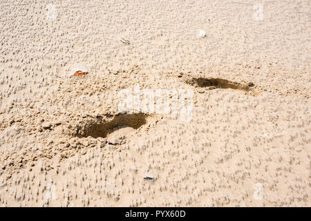 Due profondi impronte sulla spiaggia sabbiosa puntando ad angoli retti suggerendo un cambiamento di direzione Foto Stock