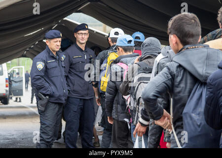 BAPSKA, Croazia - 17 ottobre 2015: Croato poliziotto dalla polizia di frontiera guardando i migranti che attraversano la Serbia Croazia confine in Berkasovo Bapska Foto Stock