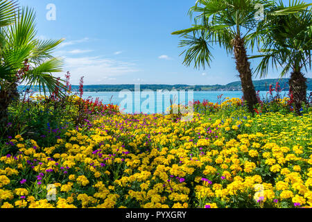 In Germania, il lago di Costanza dietro palme e innumerevoli fiori colorati Foto Stock