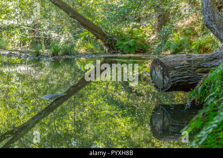 Tema del fiume fiume, in montagna, i margini con rocce e vegetazione e Immagine speculare in acqua in Portogallo Foto Stock