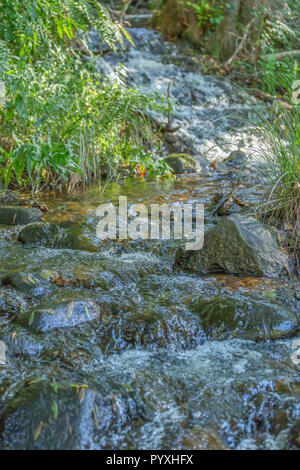 Tema del fiume fiume, in montagna, i margini con rocce e vegetazione in Portogallo Foto Stock