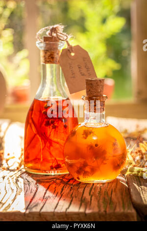 Forte di mela cotogna tintura a base di miele e linden Foto Stock