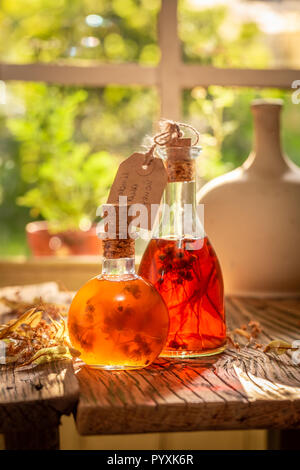 Le mele cotogne fresche di tintura a base di miele e linden Foto Stock