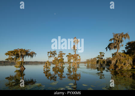 Il lago di Martin caduta Foto Stock