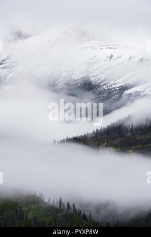 Gamma Ottertail, Yoho NP, British Columbia, Canada, da Bruce Montagne/Dembinsky Foto Assoc Foto Stock