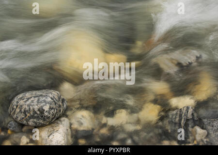 Ciottoli nel flusso, Yoho NP, British Columbia, Canada, da Bruce Montagne/Dembinsky Foto Assoc Foto Stock
