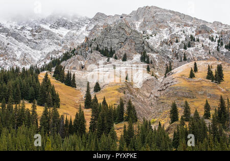 Peter Lougheed Parco Provinciale, Canadian Rockies, Alberta, Canada, da Bruce Montagne/Dembinsky Foto Assoc Foto Stock