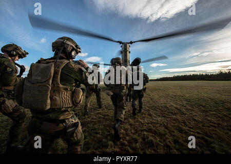 Rena, 25 oktober 2018, Norwegian Air assalto delle truppe di formazione sono le loro punte con aiuto del US Army e loro Chinooks durante il Tridente frangente Rena. Con circa 50.000 personale partecipante in Trident frangente 2018, è uno dei più grandi esercitazioni NATO negli ultimi anni. Circa 250 velivoli, 65 navi e più di 10.000 veicoli sono coinvolti nell'esercizio in Norvegia. Foto di Hille Hillinga, Mediacentrum Defensie (MCD) Foto Stock