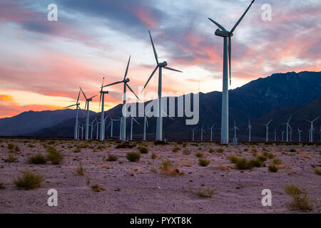 Mulini a vento al tramonto Palm Springs Foto Stock