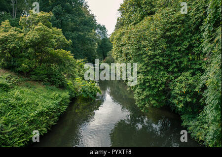 Fiume Bollin nelle vicinanze Quarry Bank Mill, Styal, Cheshire, Inghilterra Foto Stock