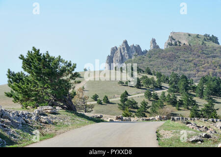 Sulla strada per il picco di montagna Ai-Petri Foto Stock