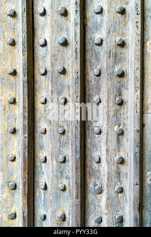 La sezione del ferro porta chiodati Foto Stock