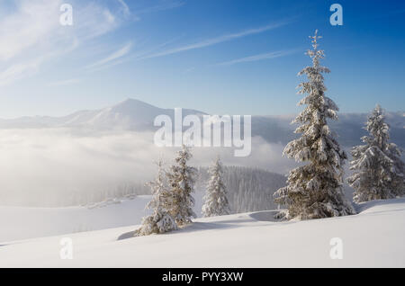 Bianco Natale. Neve paesaggio invernale con la nebbia in montagna. Sunny frosty giorno Foto Stock