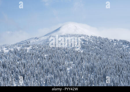 Picco di montagna nella neve e nuvole. Inverno severo paesaggio. La foresta di abete rosso sulle piste da sci Foto Stock