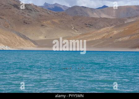 Magica Pangong Tso Foto Stock