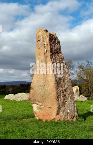 Preistorici permanente del Neolitico stone circle Long Meg and Her Daughters vicino a Penrith, Cumbria, England Regno Unito. Long Meg in primo piano Foto Stock