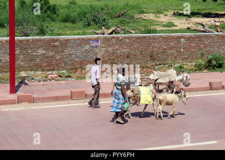 La gente con gli asini intorno alla strada sul modo al Taj Mahal di Agra. Preso in India, Agosto 2018. Foto Stock