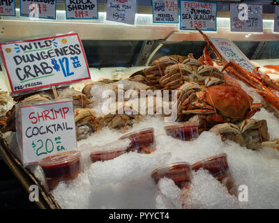 Dungeness granchi e gamberi cocktail seduti in ghiaccio negozio di fronte a un pesce del mercato dei pescatori Foto Stock