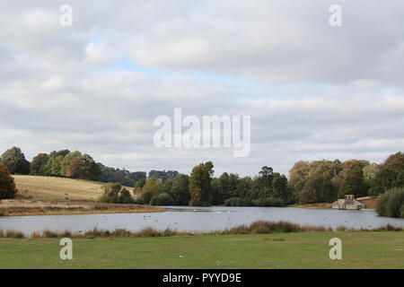 Vista del lago a Petworth House con anatra Foto Stock