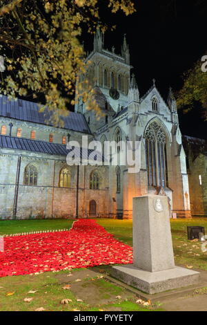 58000 Maglia display di papavero a Selby Abbey, North Yorkshire. Foto Stock