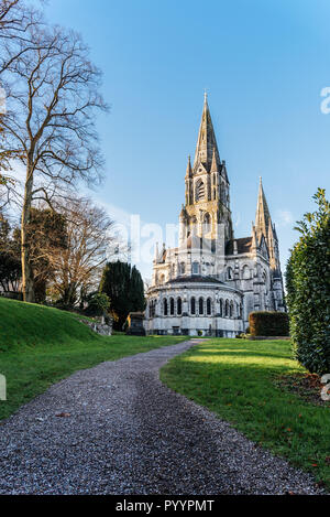 Cork, Irlanda - 12 Novembre 2017: Cattedrale di Saint Fin Barre in sughero, è situato nel centro della città di Cork, Irlanda Foto Stock