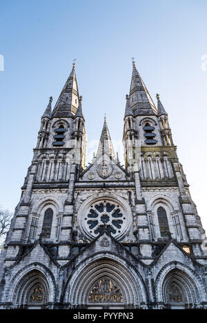 Cork, Irlanda - 12 Novembre 2017: Cattedrale di Saint Fin Barre in sughero, è situato nel centro della città di Cork, Irlanda Foto Stock