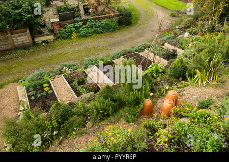 Sollevate i letti in legno con un misto di colture organiche o produrre (verdure erbe, fiori commestibili) in orto - Grays corte, York, Yorkshire, Inghilterra. Foto Stock