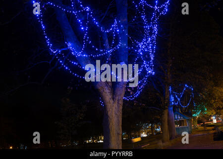 Scintillanti luci blu che illuminano gli alberi lungo una strada in Harrogate, North Yorkshire, Inghilterra, Regno Unito. Foto Stock