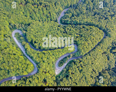 Transfagarasan strada nazionale DN7c che collega le regioni della Transilvania e della Valacchia. Asfalto di avvolgimento strada asfaltata nei boschi delle montagne dei Carpazi, Romania. Antenna fuco vista. Vista mappa Foto Stock