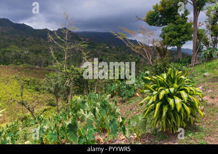 La gamma della montagna di cordillera central sotto nubi e soleggiata collina che domina la valle in jayuya puerto rico Foto Stock