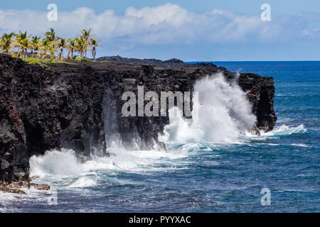 Grandi onde si infrangono contro le scogliere vulcaniche su la Big Island delle Hawaii. Boschetto di palme sulla parte superiore della fascia costiera; Oceano Pacifico e le nuvole in background.