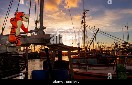 Newlyn, Cornwall, Regno Unito, 31 ottobre 2018. Rosso di stordimento cieli del porto di pesca di Newlyn questa mattina. Credito: Mike Newman/Alamy Live News. Foto Stock