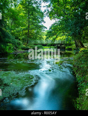L'acqua che scorre verso il basso un fiume nella campagna inglese e circondato dal verde degli alberi e una passerella che lo attraversa Foto Stock