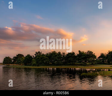 Sunset over Hatchet stagno, Nuova Foresta Foto Stock