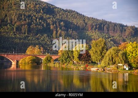 MILTENBERG GERMANIA vista sulla valle del fiume Main Foto Stock