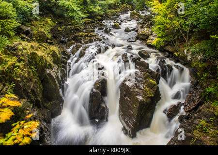 Linn nero cade e il fiume Braan presso l'eremo a Dunkeld, Perthshire Scozia Scotland Foto Stock