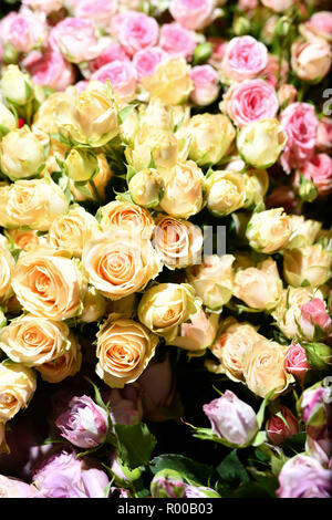 Fiori. Mazzo di rosa e giallo rose.Caption locale *** Foto Stock
