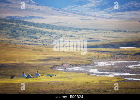 Chooms dei nomadi allevatori di renne, Yamal, Russia Foto Stock