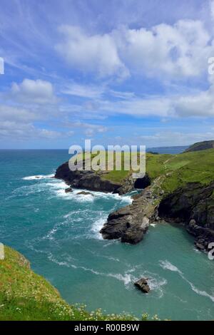 Barras naso Tintagel Castle,Cornwall,l'Inghilterra,UK Foto Stock