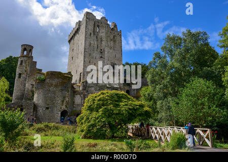 Blarney Castle e giardini, vicino a Cork, nella contea di Cork, Repubblica di Irlanda Foto Stock