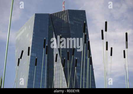 Windhalme, installazione Flußwind, Klimaroute der Stadt Frankfurt, Hafenpark, vor dem Neubau der Europäischen Zentralbank, EZB, Francoforte, Foto Stock