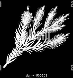Melaleuca ramoscelli tea tree isolato icona logo. bianco silhouette. Illustrazione Vettoriale Illustrazione Vettoriale