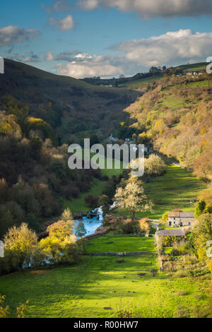 Monsal dale e il fiume Wye nel Derbyshire. Foto Stock